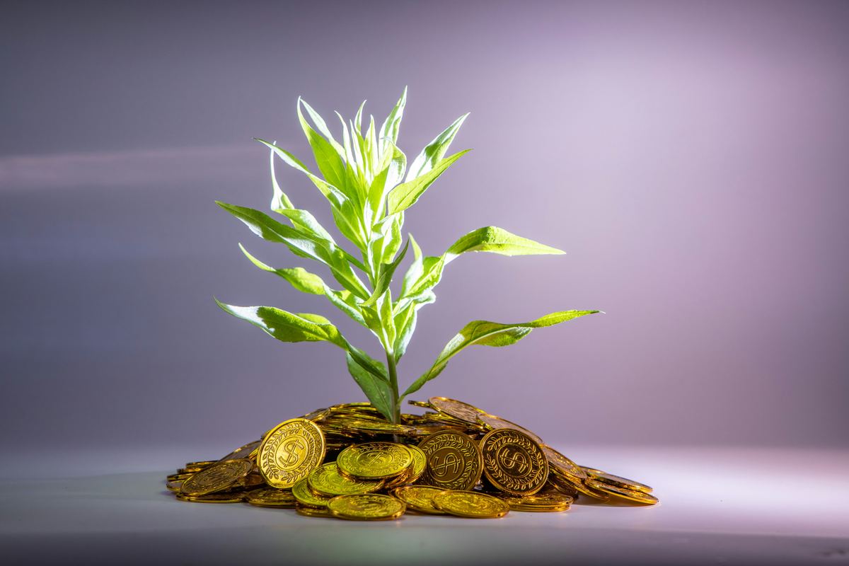 Plant growing from gold coins — complete guide to small business loans 2026